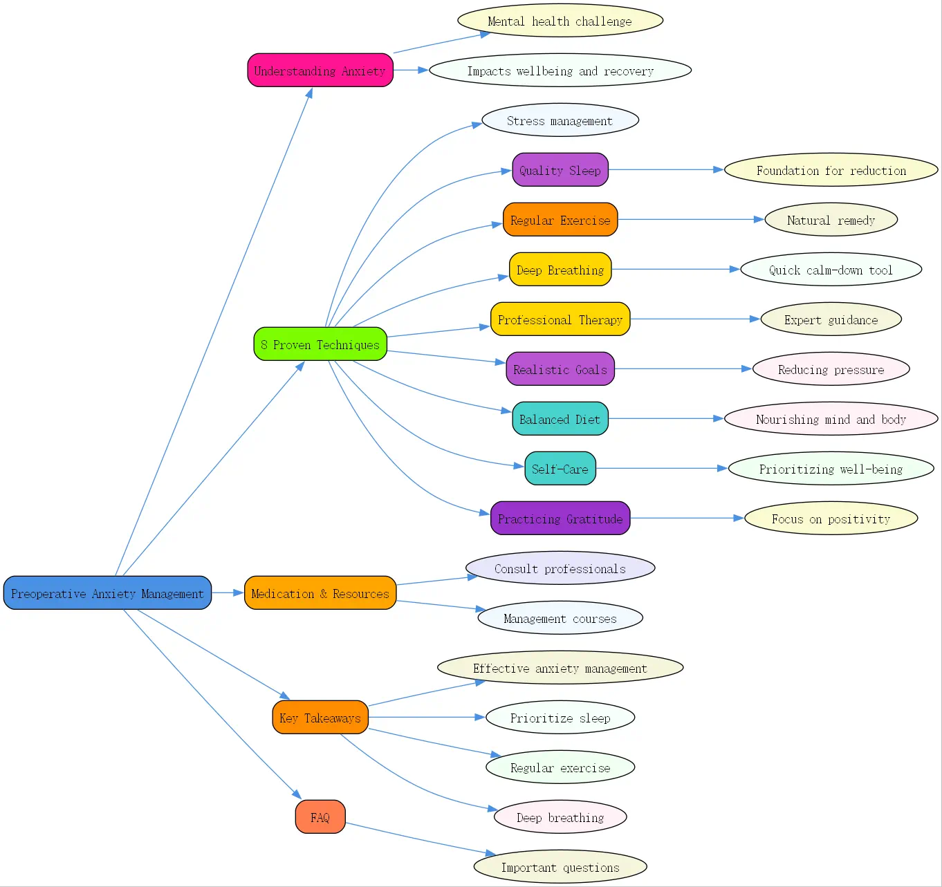 preoperative anxiety management roudmap